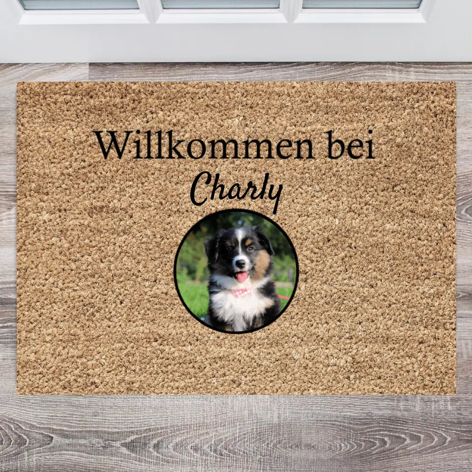 I miei animali domestici - Zerbino Personalizzata (1-4 animali domestici)