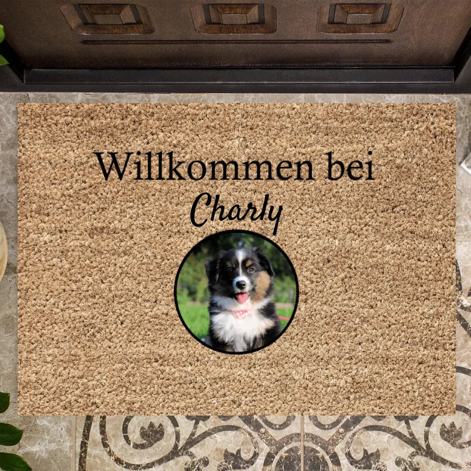 I miei animali domestici - Zerbino Personalizzata (1-4 animali domestici)